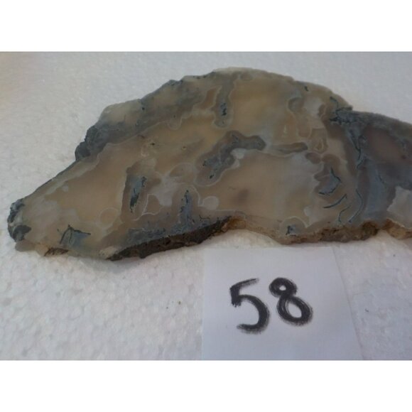 Ochoco Oregon Tube Agate Rock Slab White Gray & Blue Translucent Silica Rich - Picture 3 of 7